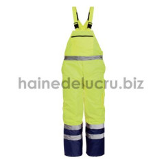 PANTALON CU PIEPTAR DE IARNA DENMARK 9182 - S