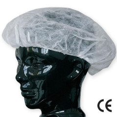 Capison de unica folosinta art. 1320