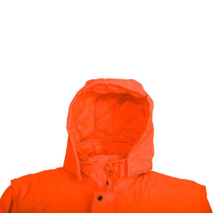 Scurta vatuita de iarna London