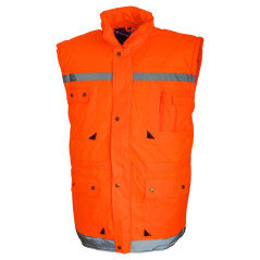 Scurta vatuita de iarna London